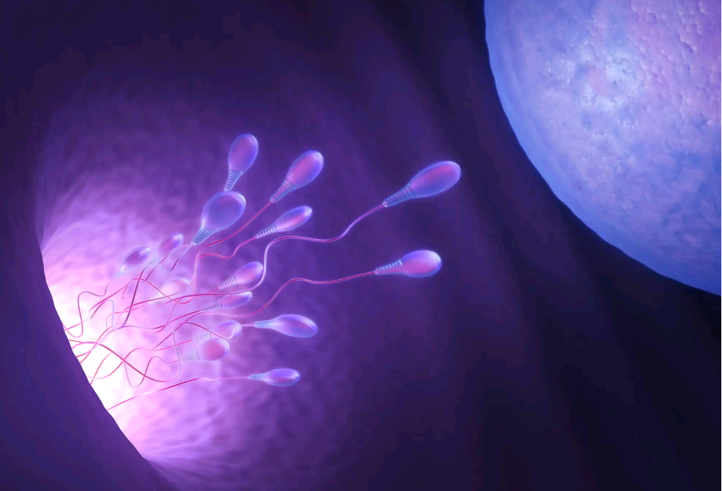 供卵试管跟孕妇有什么关系,做试管要做的检查有哪些？(试管婴儿男性怎么取精