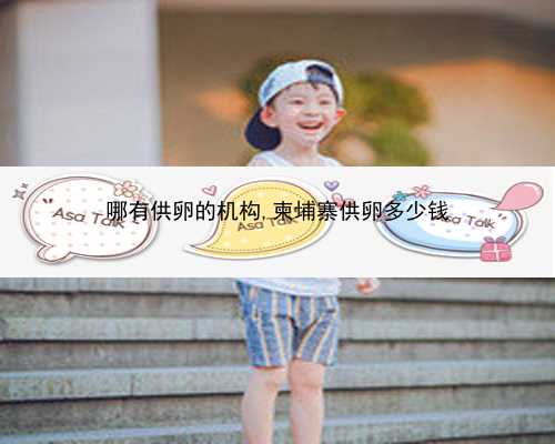 高龄做供卵如何提高成功率&供卵可以生男孩吗&上海市委主要负责同志职务调整